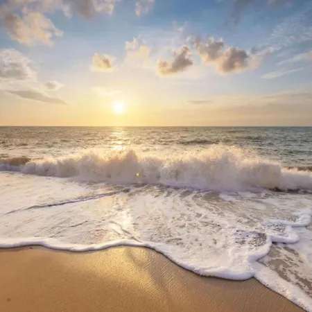 Juliana 77 By The Sea *