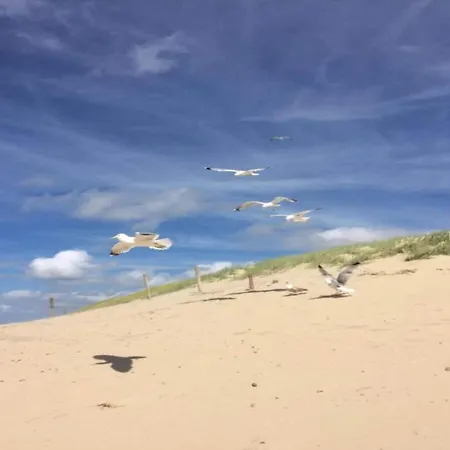 아파트 Near Dutch With Water Views