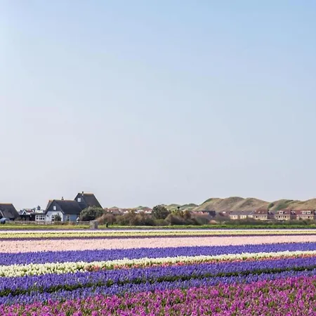 Near Dutch With Water Views Julianadorp