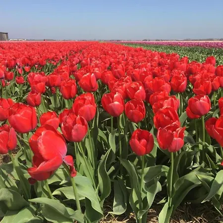 Near Dutch With Water Views * Julianadorp