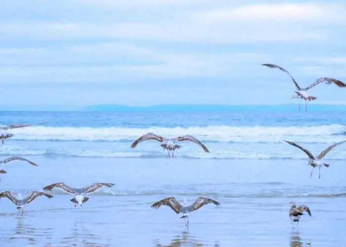 아파트 Near Dutch With Water Views *