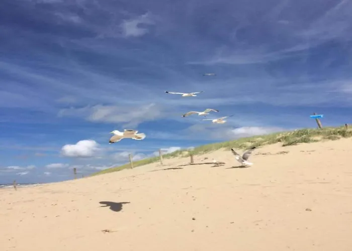 아파트 Near Dutch With Water Views