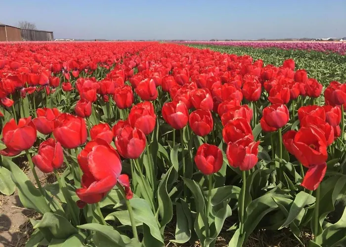 Near Dutch With Water Views * 줄리아나도르프