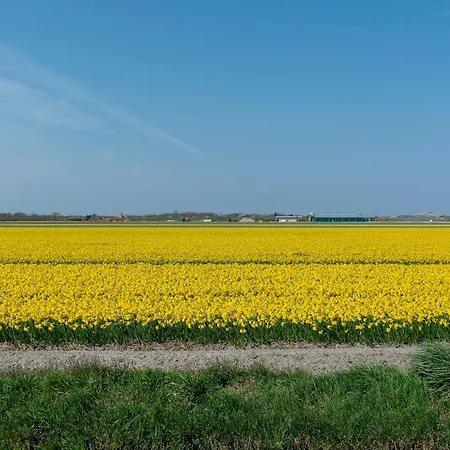Near Dutch With Water Views
