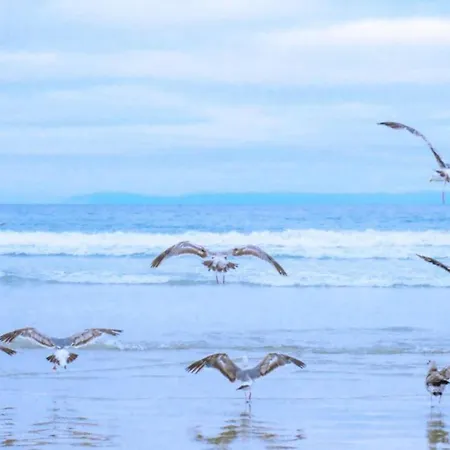 Apartamento Near Dutch With Water Views *