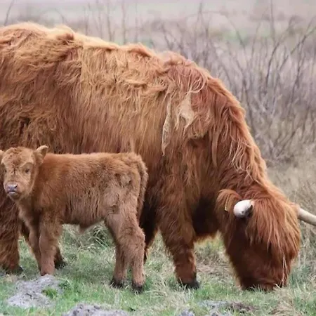 Appartement Near Dutch With Water Views Julianadorp