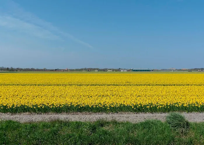 Near Dutch With Water Views